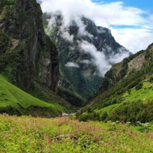 Valley Of Flowers Trek