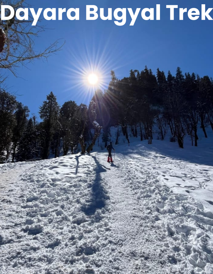 Dayara Bugyal Trek